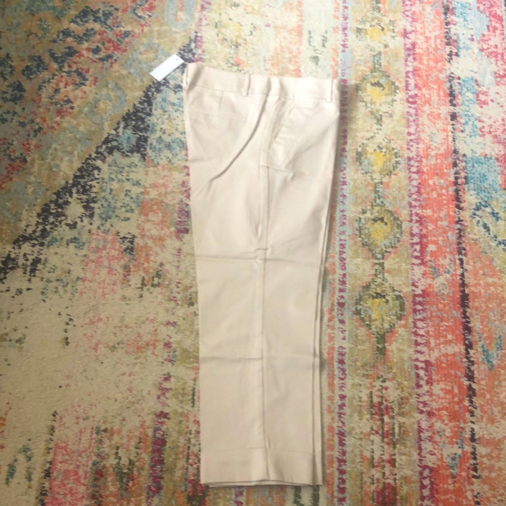 Cropped Khakis by Ann Taylor